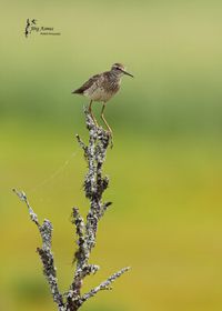 # 363 Bruchwasserl&auml;ufer